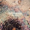 Pochette The American Dollar - The Swamp The American Dollar - The Swamp
