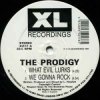 Pochette The Prodigy - Minefields (Headrock Dub) The Prodigy - Minefields (Headrock Dub)