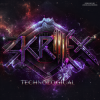 Pochette Skrillex - Chicken Soup Skrillex - Chicken Soup