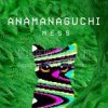 Pochette Anamanaguchi - Echobo Anamanaguchi - Echobo