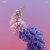 Pochette Flume Feat. Kai - Never Be Like You