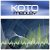 Pochette Koto - Pulstar