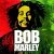 Pochette Bob Marley - One Love