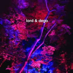 Pochette Dego - Revelation