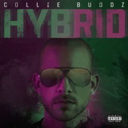 Pochette Hybrid - Break My Soul