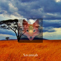 Pochette Savannah - Day After Day & Night
