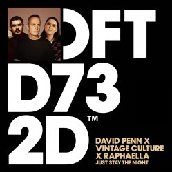 Pochette David Penn & Raphaella & Vintage Culture - Just Stay The Night