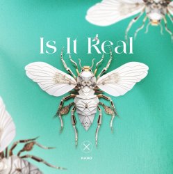 Pochette Kabo - Is It Real (Extended Mix)