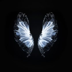 Pochette Whales - Believe