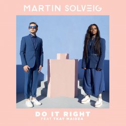 Pochette Martin Solveig - Requiem Pour Un Con