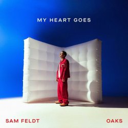 Pochette Sam Feldt - Been A While