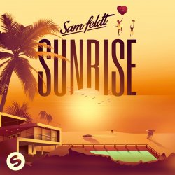 Pochette Sam Feldt - All The Things She Said