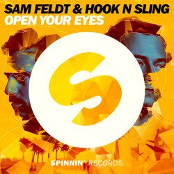 Pochette Sam Feldt - The Confession