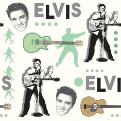 Pochette Elvis Presley - Such a Night