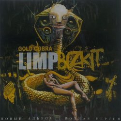 Pochette Limp Bizkit - Introbra