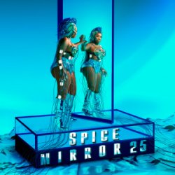 Pochette Spice - Chair