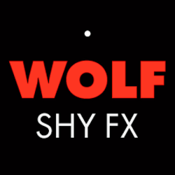 Pochette Shy FX - Carnival Culture