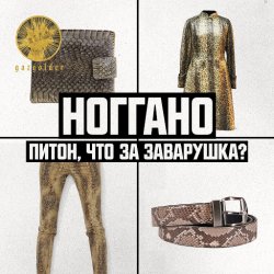 Pochette Ноггано - Питон, что за заварушка