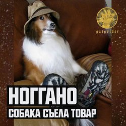 Pochette Ноггано - Собака съела товар
