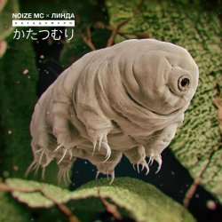Pochette Noize MC - Катацумури