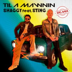 Pochette Shaggy & Sting - Til A Mawnin (Remix)