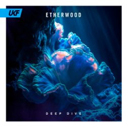 Pochette Etherwood - Deep Dive