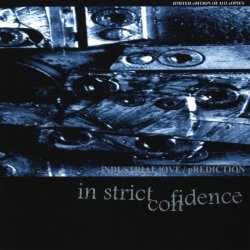 Pochette In Strict Confidence - Industrial Love (Tragic Version By Somka)