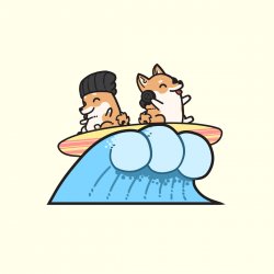 Pochette Hyper Potions - Surf