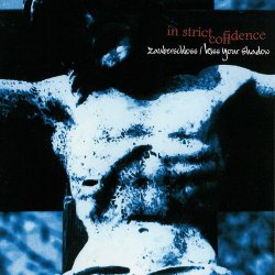 Pochette In Strict Confidence - Kiss Your Shadow (Extended Version)