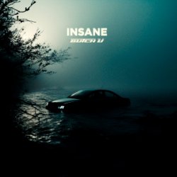 Pochette Butch U - Insane