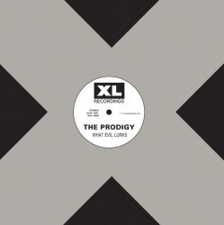 Pochette The Prodigy - Android
