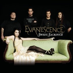 Pochette Evanescence - Weight Of The World [Live From Tokyo]