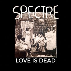 Pochette Spectre - Hedgamez