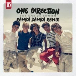 Pochette One Direction - What Makes You Beautiful (Mentol Remix)