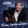 Pochette Вячеслав Малежик - Лилипутик Вячеслав Малежик - Лилипутик
