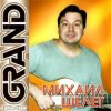 Pochette Михаил Шелег - Не люблю, не ревную Михаил Шелег - Не люблю, не ревную