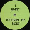 Pochette Green Velvet - I Want To Leave My Body Green Velvet - I Want To Leave My Body