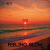 Pochette DJ JEDY - Feeling Slow DJ JEDY - Feeling Slow