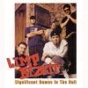 Pochette Limp Bizkit - Don`t Go Off Wandering Limp Bizkit - Don`t Go Off Wandering