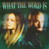 Pochette Jackie Hollander & Malóne & Baby Bash - What The Word Is Jackie Hollander & Malóne & Baby Bash - What The Word Is