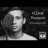 Pochette Flume - Possum Flume - Possum