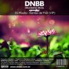 Pochette DJ Roots - Sorriso De Flor DJ Roots - Sorriso De Flor