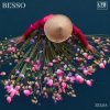 Pochette Besso - Zelda Besso - Zelda