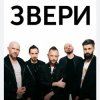 Pochette Рома Зверев - До скорой встречи Рома Зверев - До скорой встречи