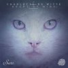 Pochette Charlotte De Witte - This Charlotte De Witte - This