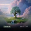 Pochette Quasar-89 - Fragile Calm Quasar-89 - Fragile Calm