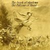 Pochette The Falcons of Haunt - The Book of Shadows (Phase 3) The Falcons of Haunt - The Book of Shadows (Phase 3)