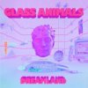 Pochette Glass Animals - Heat Waves Glass Animals - Heat Waves
