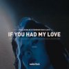 Pochette Paul Schulze & FÜNKENSTEIN & LEVII - If You Had My Love Paul Schulze & FÜNKENSTEIN & LEVII - If You Had My Love