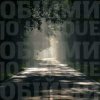 Pochette Океан Эльзы - Обійми (Jo unique Remix) Океан Эльзы - Обійми (Jo unique Remix)